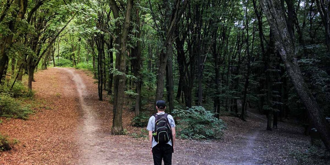 Photo of man in woods before two separate paths