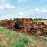 photo of large pile of dung in a field
