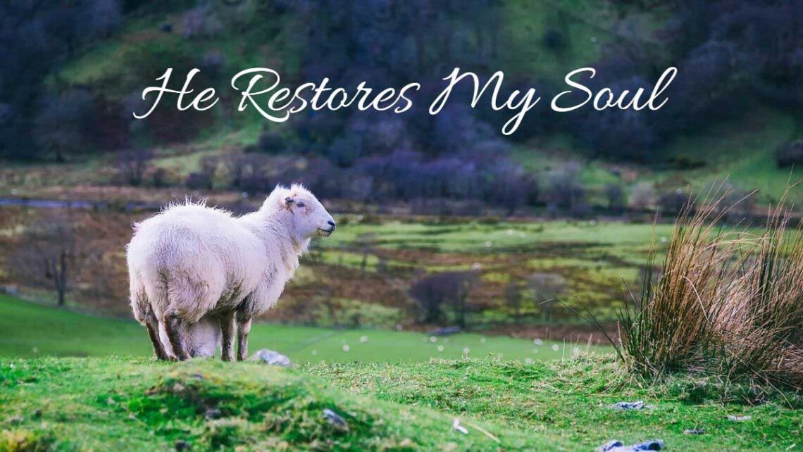 Photo of sheep in green grass in a peaceful, pastoral setting