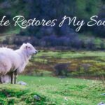 Photo of sheep in green grass in a peaceful, pastoral setting