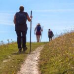 photo of hikers on a trail through a field of wildflowers agains a blue sky